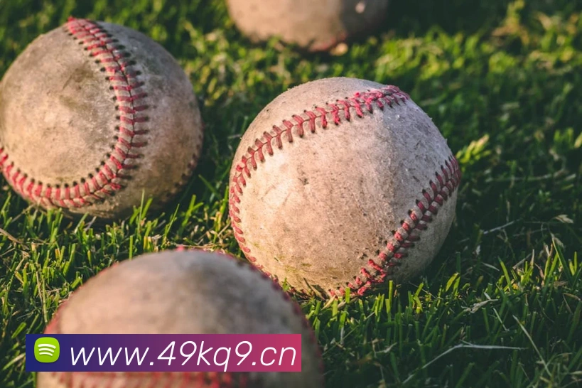 环球体育官网首页入口平台生态图